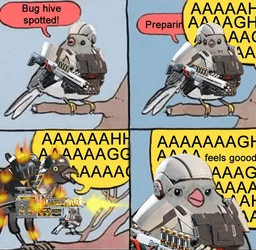 345.jpg