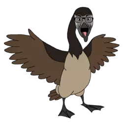 canada goosejak.png