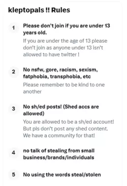 Screenshot 2025-03-15 at 19-36-16 kleptopals !! Community _ X.png