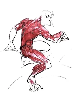 a3.jpg