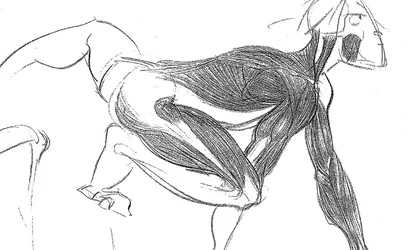 a4.jpg