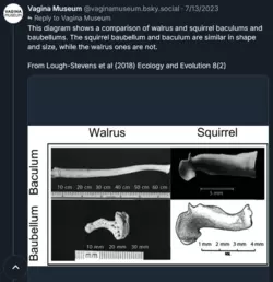 1742069076859.png