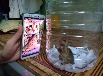 criminal_torture.jpg
