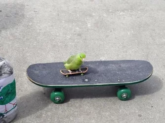 literal_coolest_thing_ever.jpg