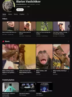 1000006824.png