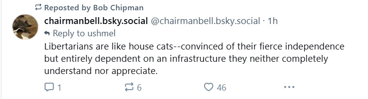 cats.jpg
