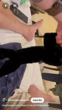 Screenshot 2025-03-16 at 10-53-26 Baby monkey need a dipper or not perfect obedience - YouTube.png