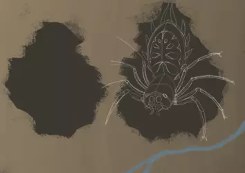Spider.png