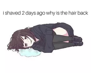 Tranny meme 12.jpg