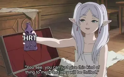Tranny meme 27.jpeg