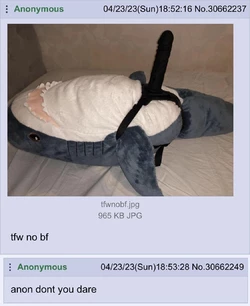Tranny meme 28.jpg