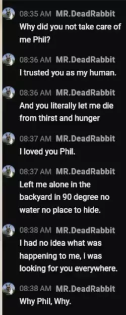 1742147805511.png