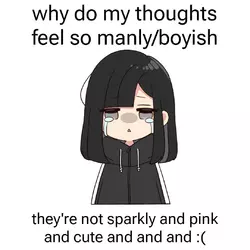 Tranny meme 64.jpeg