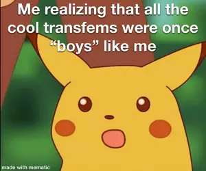 Tranny meme 83.jpeg