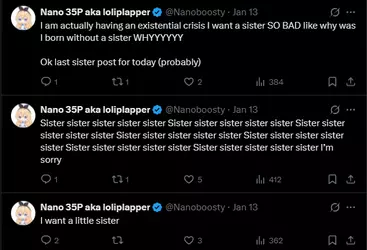 Nanoboosty_5.png