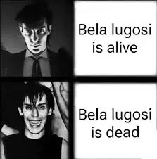 1742184820661.jpeg