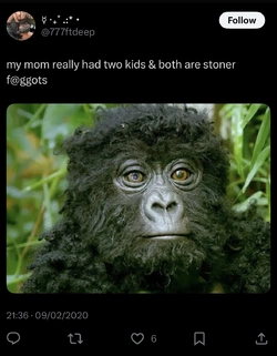 IMG_3091.jpeg