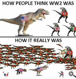 IMG_8694.jpeg