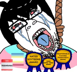 1742231394081.png