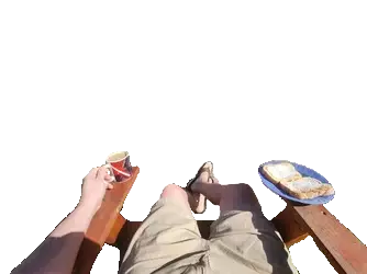 nobackfat.png