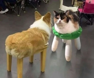 1742275056758.jpeg