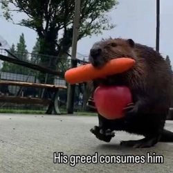 1742276070352.jpeg