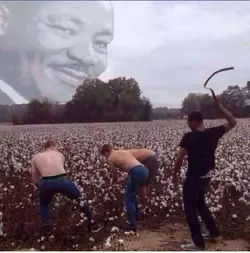 1742298009421.png