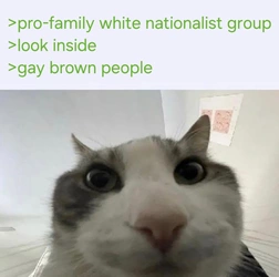 AmericaFirst.jpg