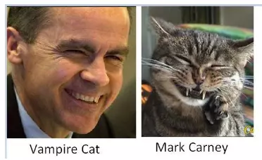 Mark-Carney-cat.png