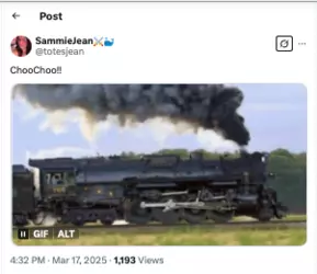 Screen Shot 2025-03-18 at 4.43.39 PM.png