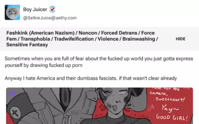 Screenshot 2025-03-18 at 17-05-54 Boy Juicer verified_trans  Fashkink (American Nazism) _ N… ...png