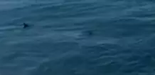 1742336389107.png