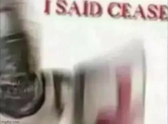 1742340295724.png