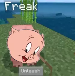 freakypig.png