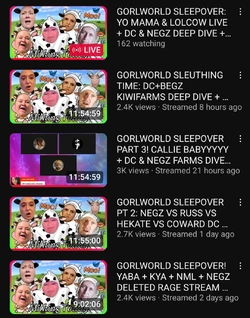 Screenshot_20250318_234025_YouTube.jpg