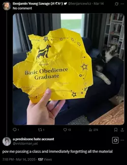 1742342648884.png