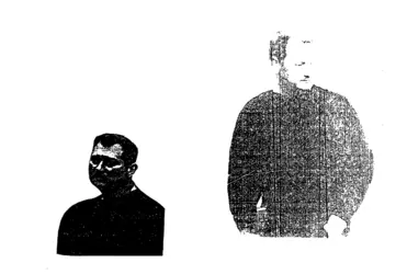 pic_Saul_63(1).png