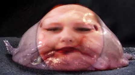 443B5EE6-63DF-426B-B07F-B44B0D3CACDB.jpeg