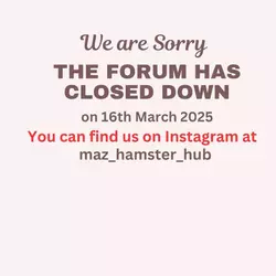 1742370839246.png