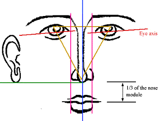 draface.gif