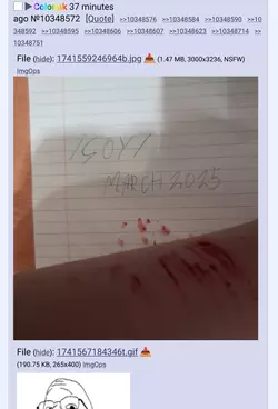 1742402451952.png