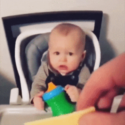 1742416783932.gif