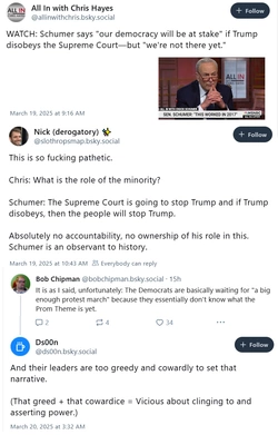 schumer1.jpg