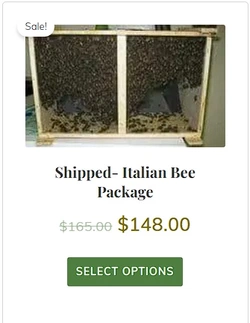 HowAreTheyItalian.jpg