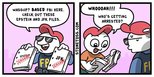 epstein-jfk-files-stonetoss-comic.png