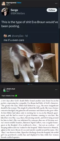 1742518882105.png