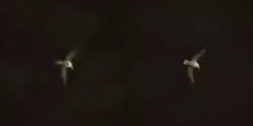 1742545399919.png