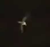 1742545848151.png
