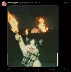 Capture.PNG