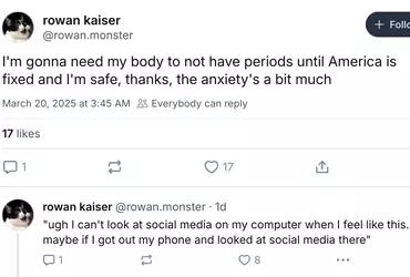 Screenshot_20250321_100558_Firefox.png